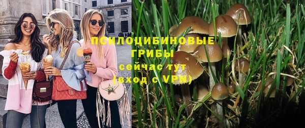твердый Балабаново